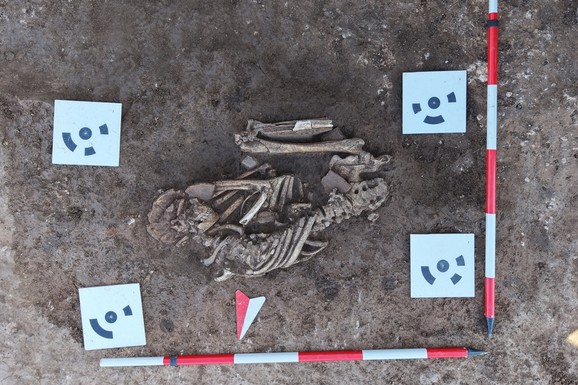 SENZACIONALNO OTKRIĆE KOD NIŠA! Pronađeni grobovi stari 8 milenijuma: Svi sahranjeni u položaju fetusa, sledi ključno pitanje - šta će pokazati DNK analiza