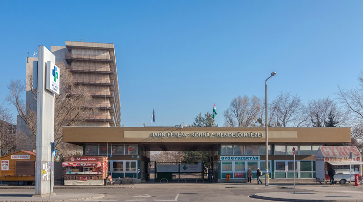 A zavart beteg minden előzmény nélkül kezdett a korlát felé rohanni. Még próbálták elkapni, végül lezuhant / Fotó: MTI/ Faludi Imre