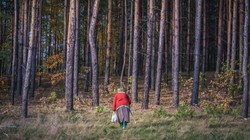 Stan wyjątkowy. Straż Graniczna apeluje do grzybiarzy