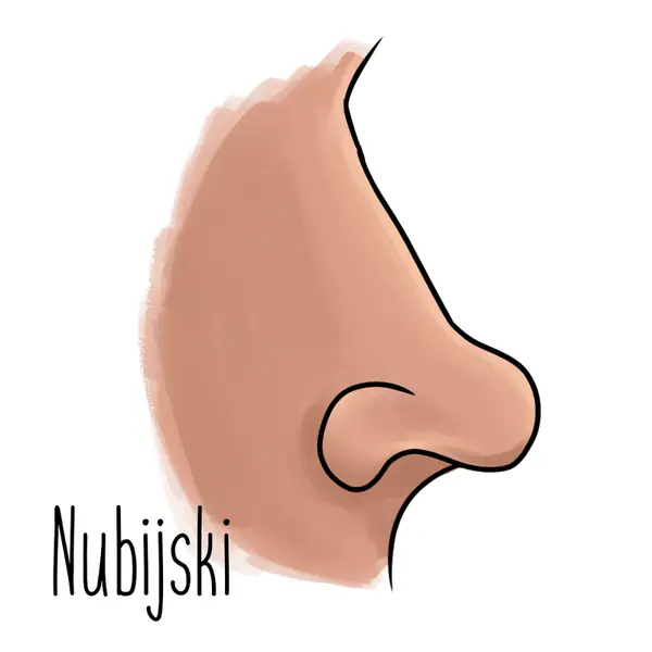 5-nubijski