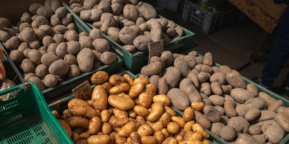 Ziemniaki jeszcze w ubiegłym roku można było kupić po 2 zł. Teraz ceny mocno skoczyły.