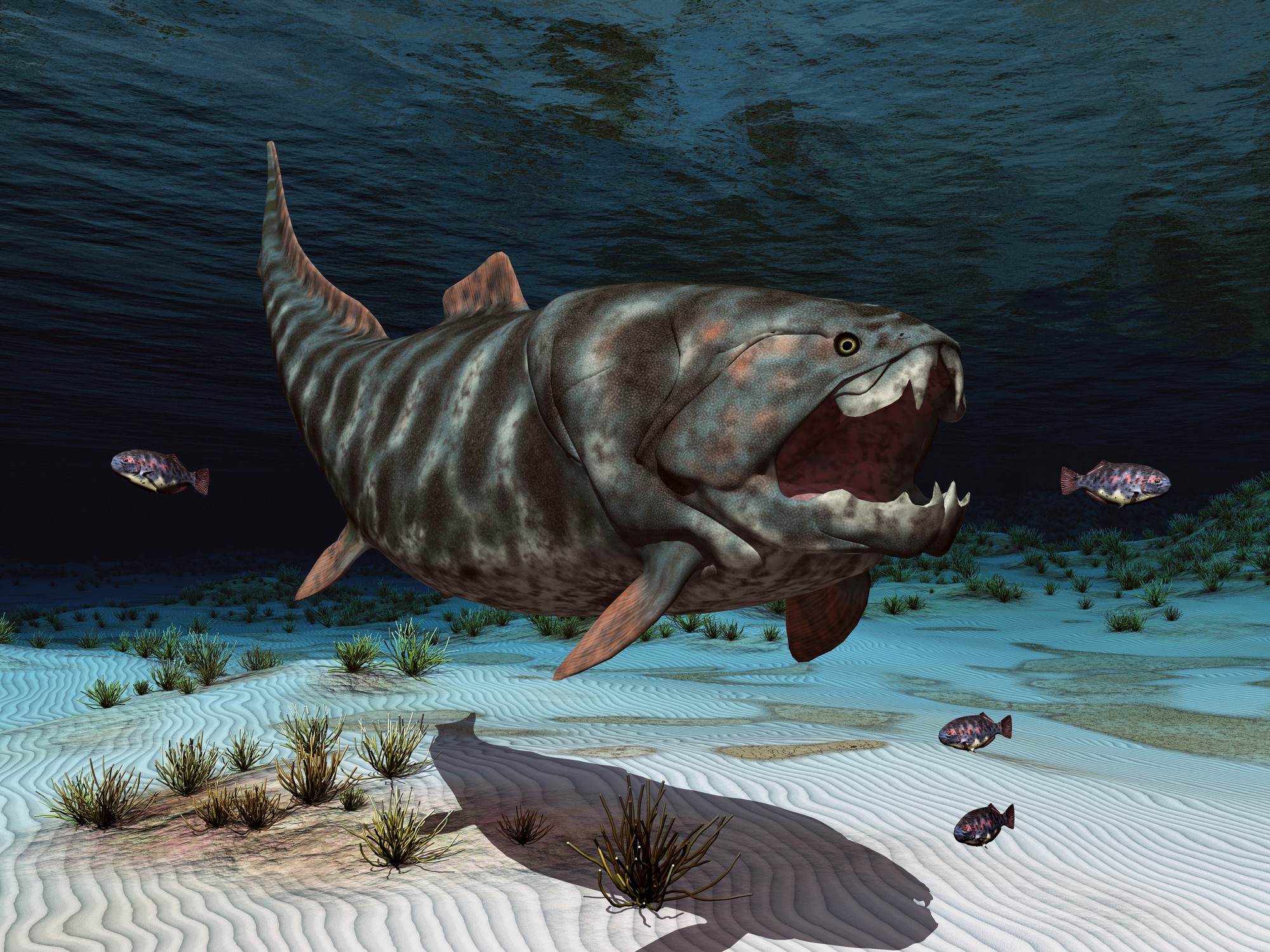 Dunkleosteus