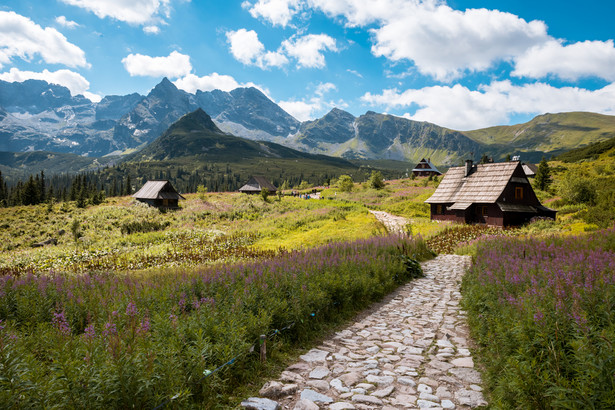 Turyści idą na rekord? Tatry z ponad 1 mln 700 tys. wejść w wakacje