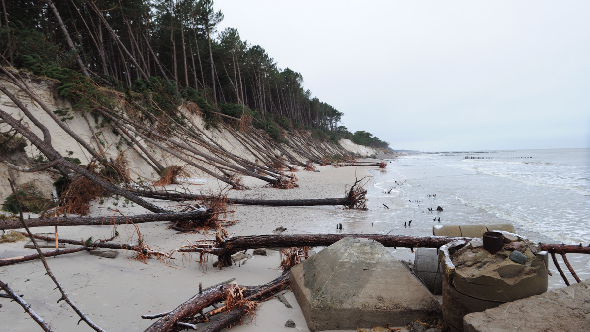 Trwa szacowanie szkód jakie na Pomorzu Zachodnim wyrządził huragan Ksawery - poinformowały służby prasowe wojewody. Według wstępnych danych największe straty odnotowano w lasach i administracji morskiej.
