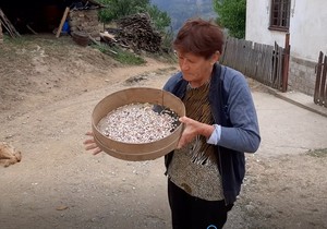 1635149995 pasulj-vejanje-selo-foto-rina-1