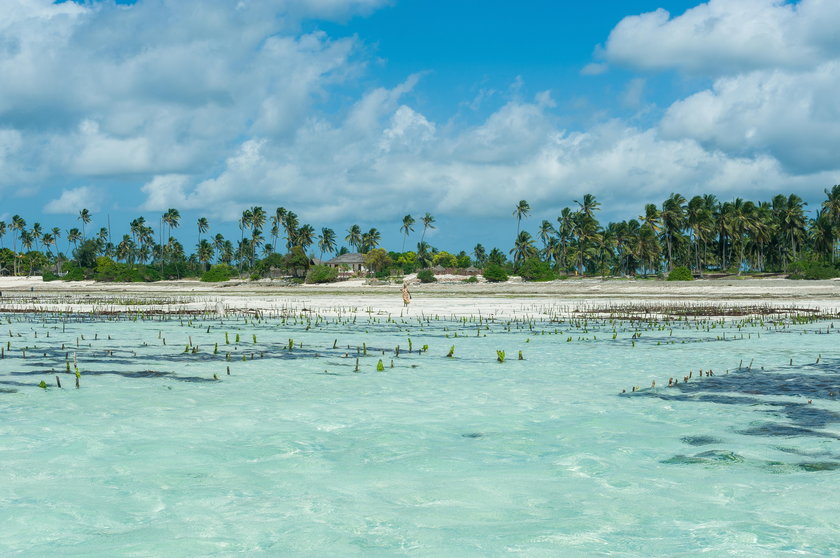 Zanzibar