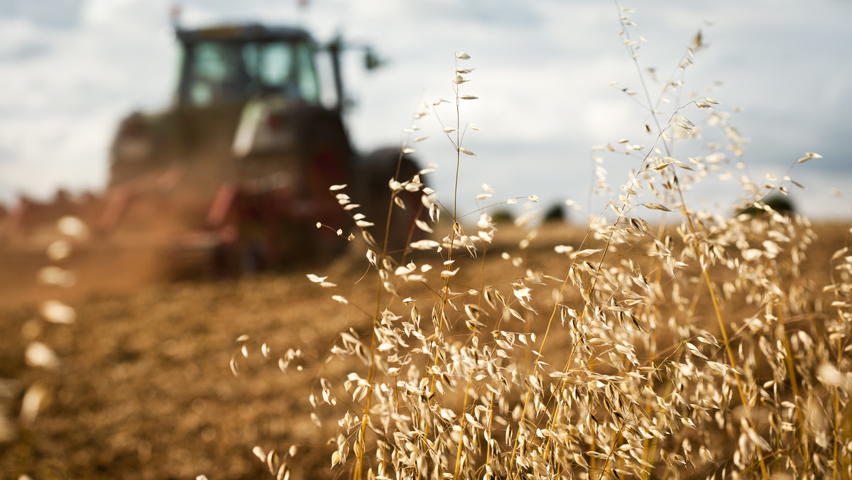 Słowacki rząd przyjął dzisiaj projekt ustawy, która ma zapobiec spekulacyjnemu obrotowi ziemią rolniczą po wygaśnięciu z końcem bieżącego miesiąca moratorium na zakup gruntów rolnych przez cudzoziemców.