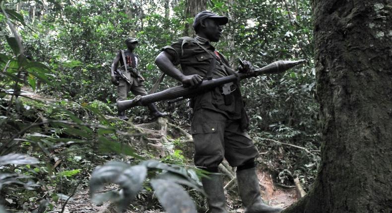 FDLR fighters are scattered across the eastern DR Congo provinces of North and South Kivu as well as in southern Katanga, and is regularly accused of committing atrocities against civilians in the zones it controls