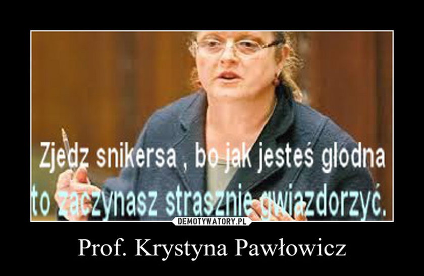 Memy z Pawłowicz