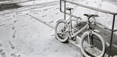 Zasypie nas śnieg? Znamy prognozę pogody