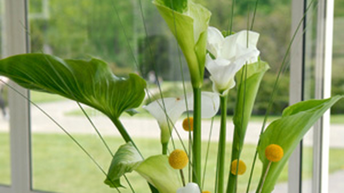 Kompozycje kwiatowe - 2009