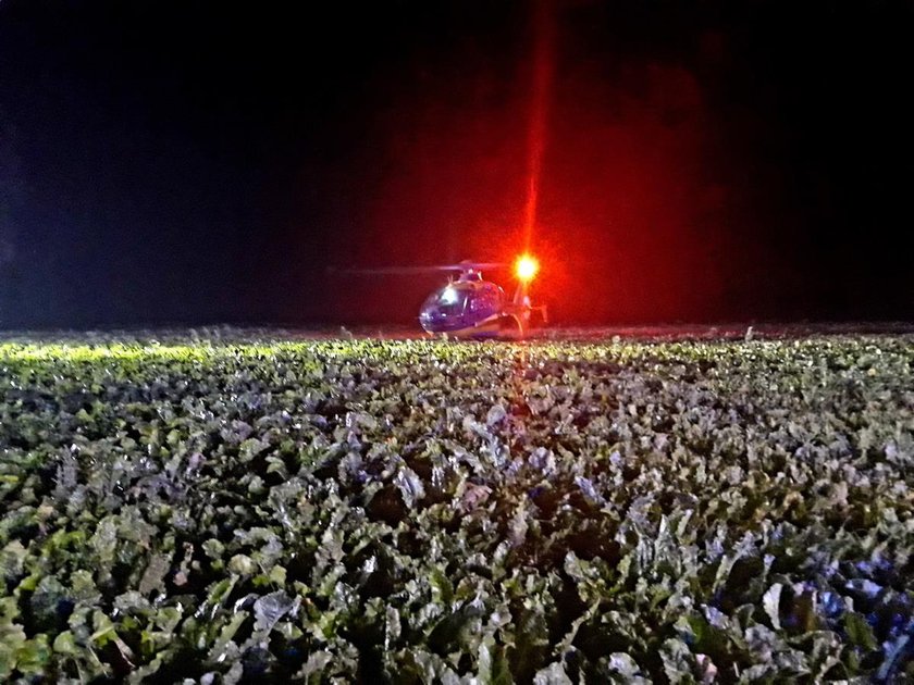 Spłoszony koń doprowadził do wypadku. Zarzuty dla pijanego właściciela