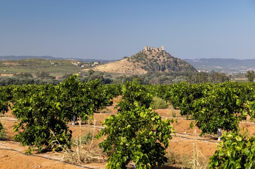 Srednjovekovni dvorac u Andaluziji, Španija