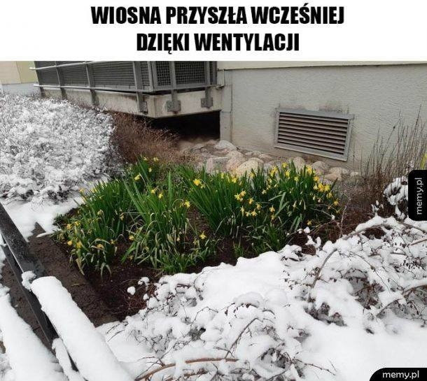 Najlepsze memy o wiośnie