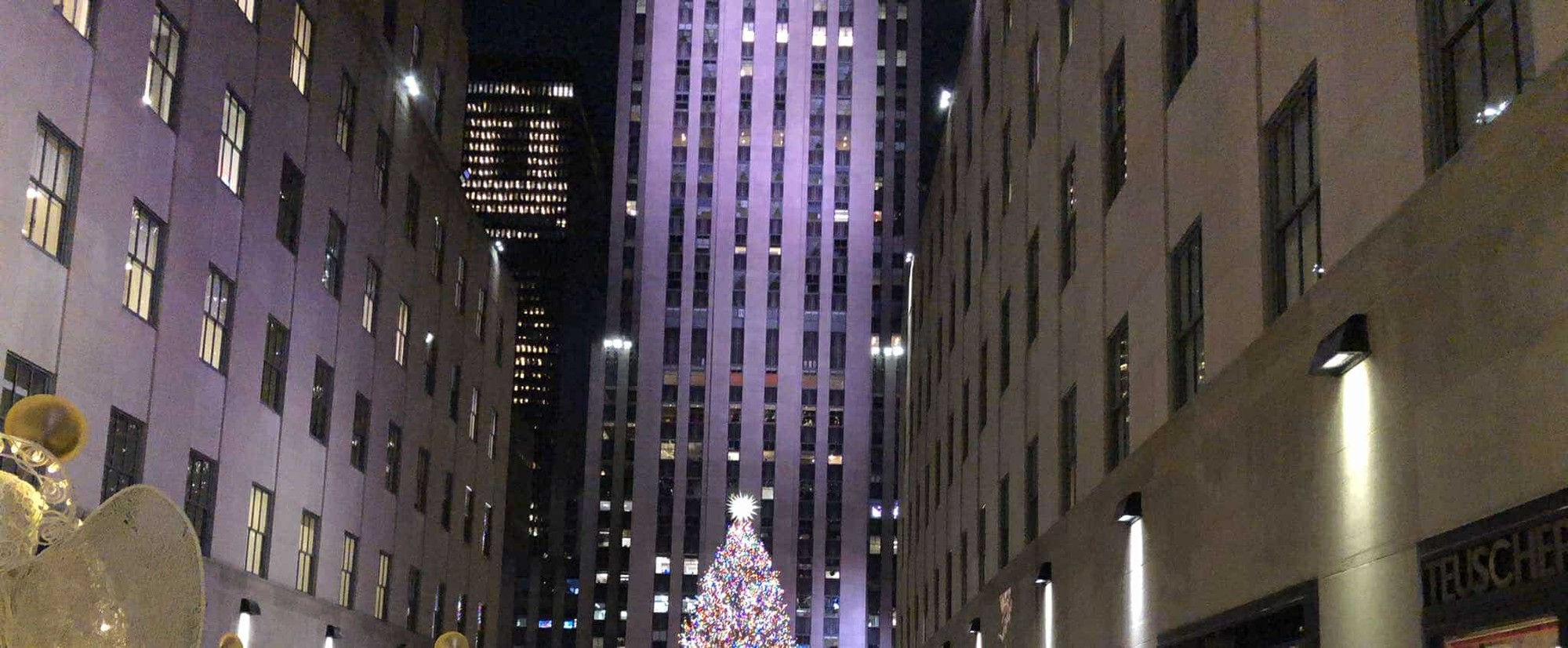 Čitateľka stihla legendárny stromček v New Yorku.