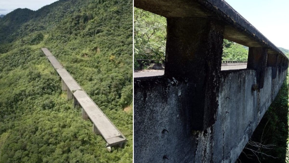 Construcția uriașă din mijlocul junglei care nu duce nicăieri Un pod nefinalizat și abandonat a devenit atracție turistică, în Sao Paulo