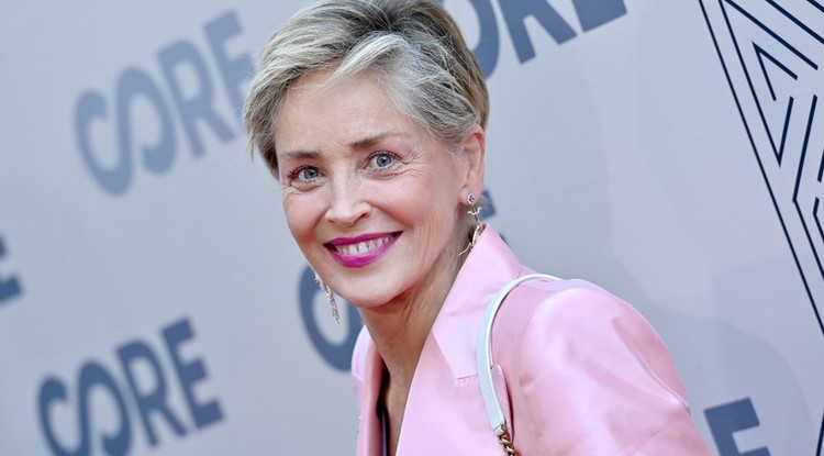 Gyönyörű az alakja a Sharon Stone-nak Fotó: Getty Images