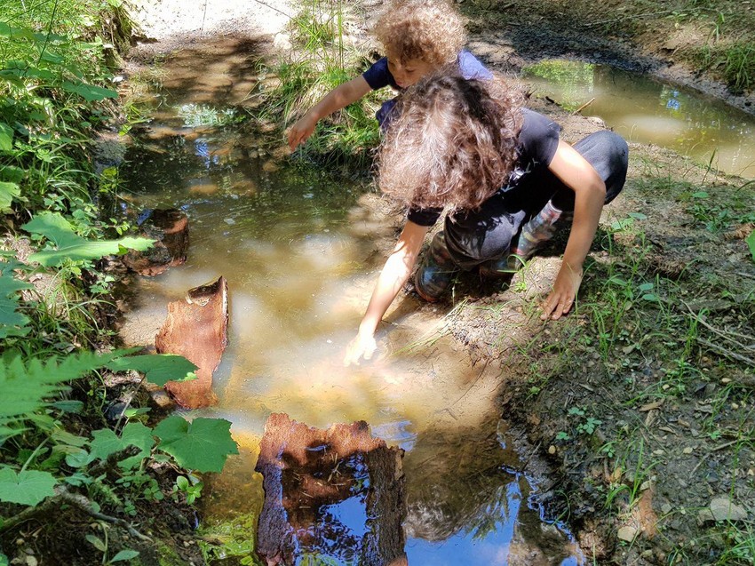 Klinci mnogo vremena provode napolju i žive zdravo