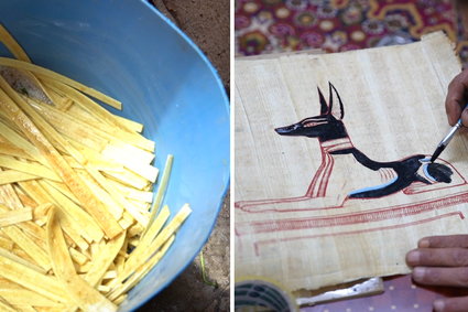 Tak wygląda praca w jednym z ostatnich miejsc na świecie, gdzie wytwarza się papirus