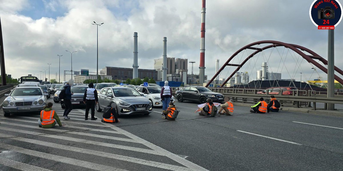 Protest ekologów w Warszawie.