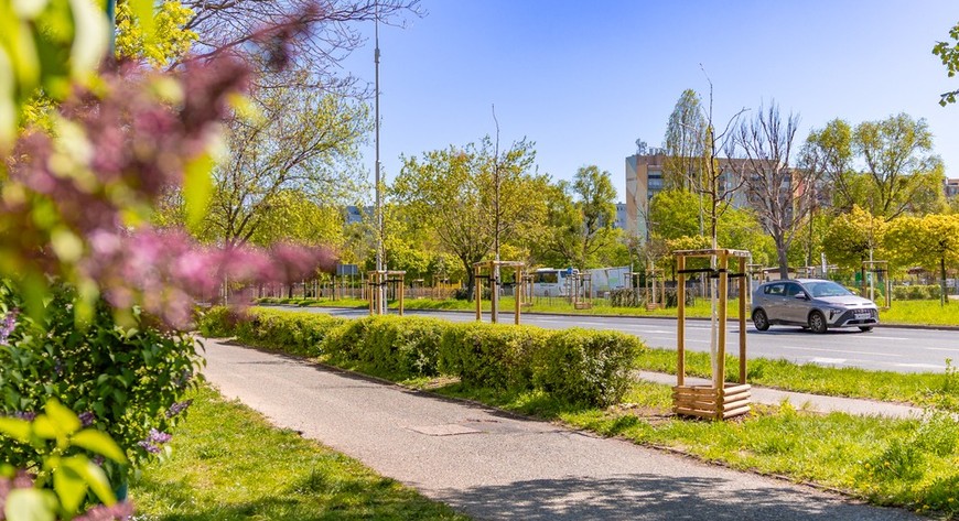 Aleja Armii Krajowej wzięła głęboki oddech!