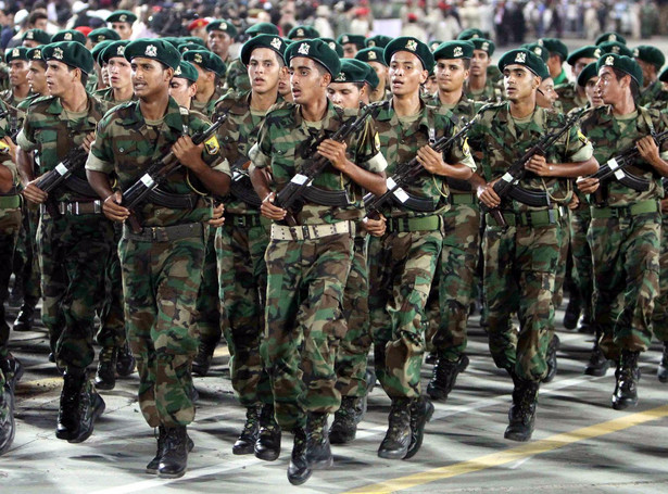 Armia przeciw Kadafiemu? Członek reżimu ujawnia