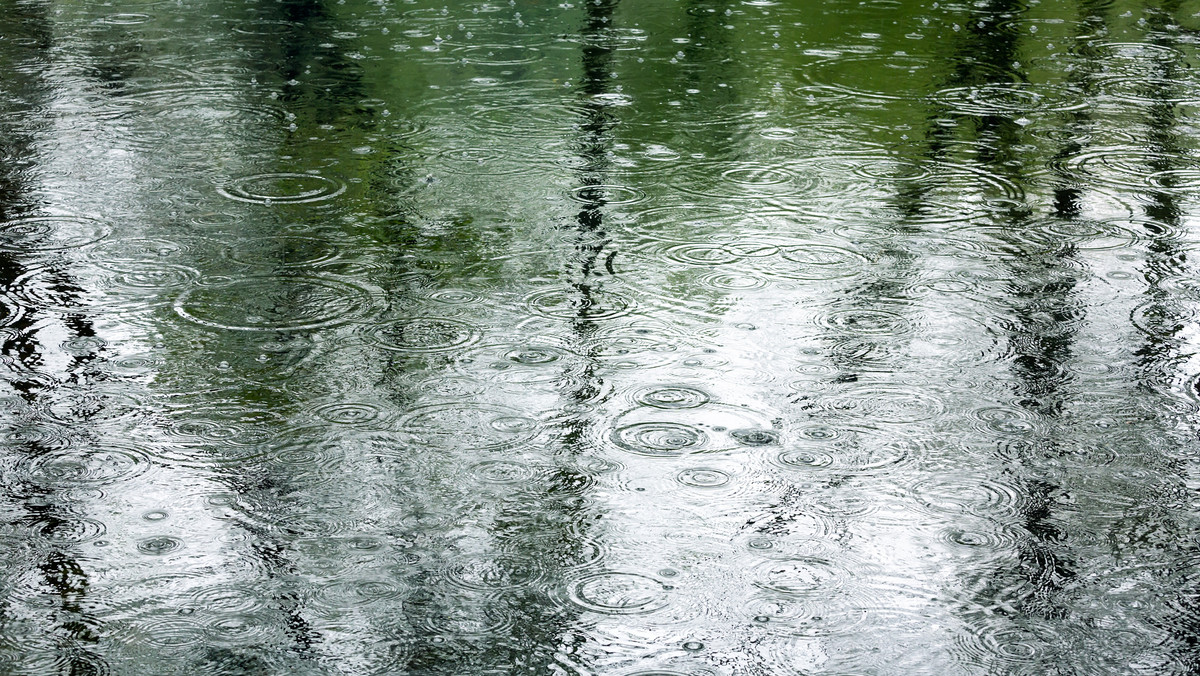 Instytut Meteorologii i Gospodarki Wodnej wydał w sobotę ostrzeżenie hydrologiczne drugiego stopnia dla województw pomorskiego i zachodniopomorskiego. Stany wód układają się tam powyżej stanu ostrzegawczego, ale poniżej alarmowego.