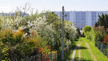 działki rod będą likwidowane? polscy działkowcy alarmują, rząd szykuje zmiany w gruntach likwidacja działek rod nowe przepisy projekt ustawy