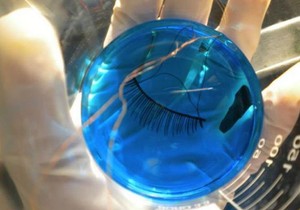 392780_article247478818f2883f0000057815634x417