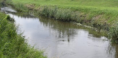 Dramatyczna akcja ratunkowa w Łobzie. 1,5-roczne dziecko wpadło do rzeki