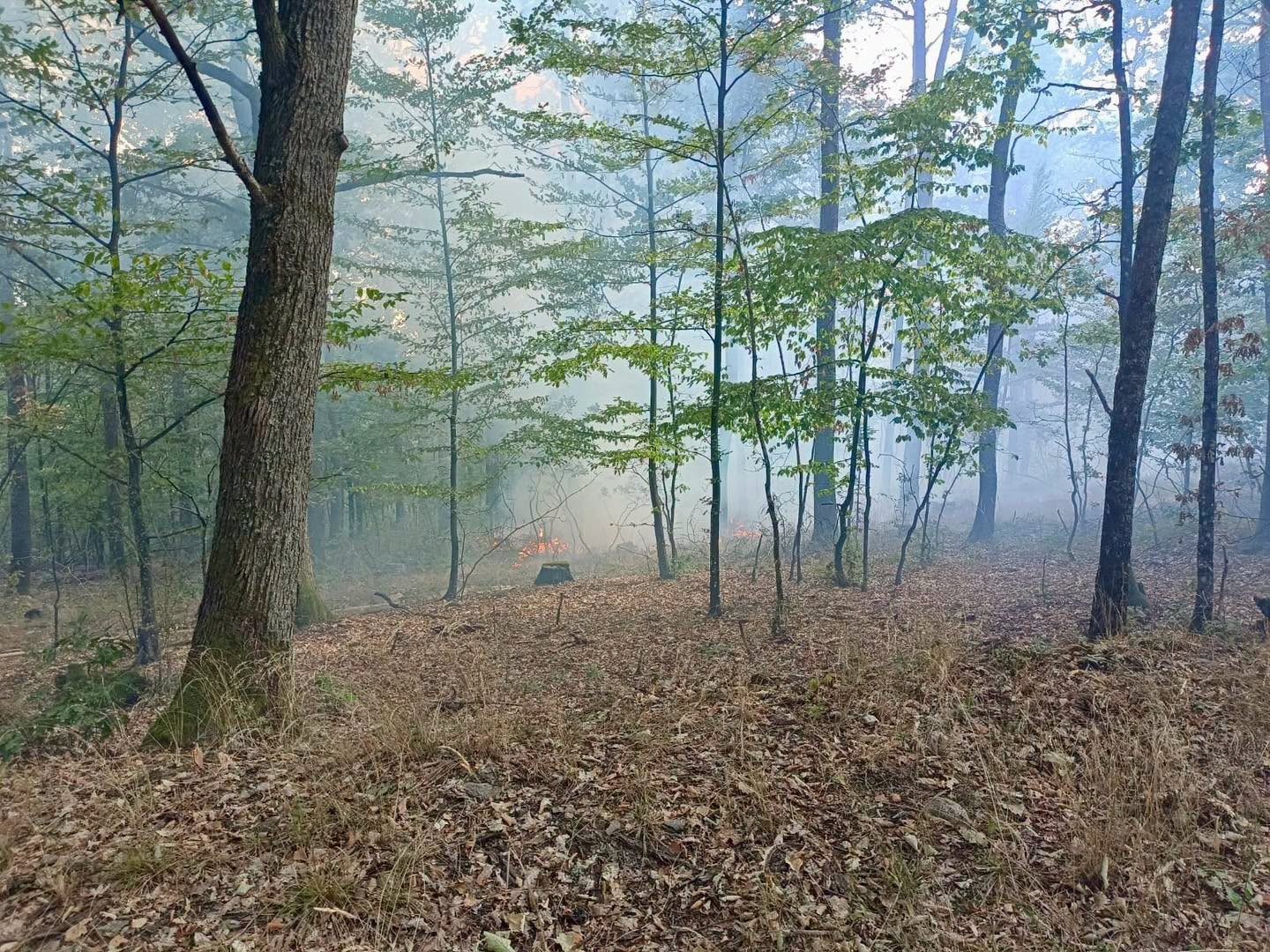 Pri Vyšnom Medzeve horí les.