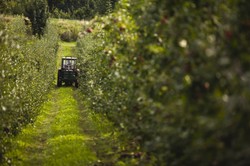 Ekologiczna żywność łapie zadyszkę. Popyt nie maleje, producentów ubywa