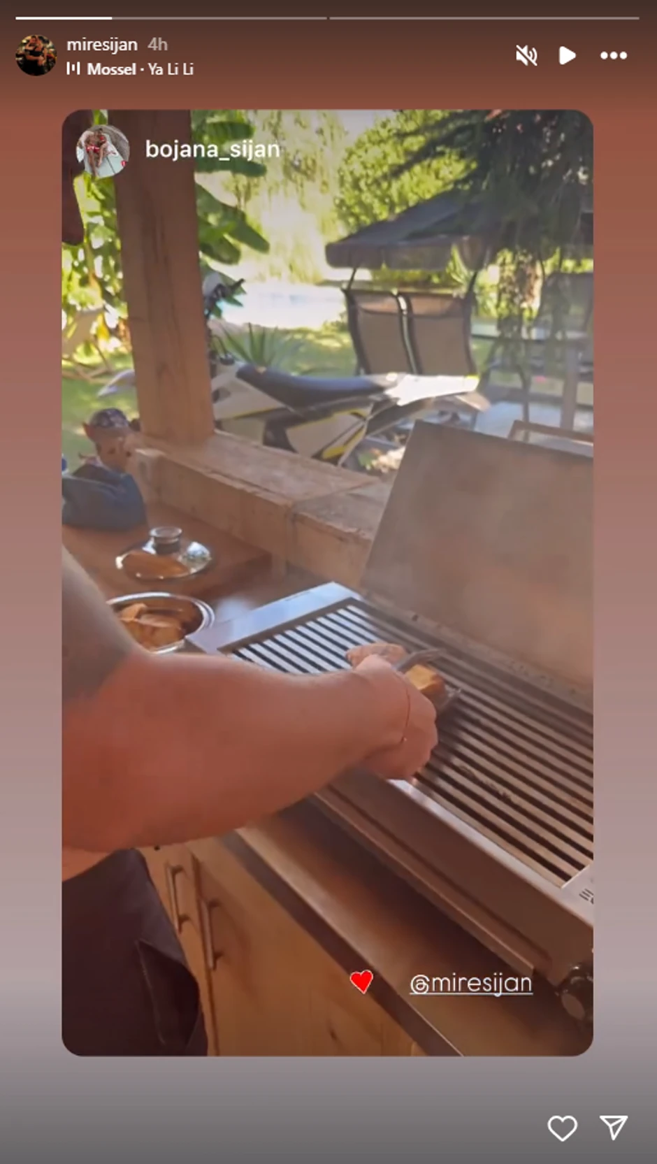 Mirko Šijan, objava