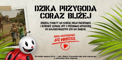 Tajemnicza akcja Biedronki. Pobije świeżaki?