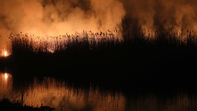 Zbiórka pieniędzy na Biebrzański Park Narodowy