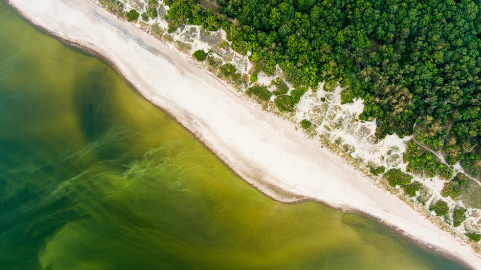 Morze Bałtyckie z lotu ptaka (zdjęcie ilustracyjne)