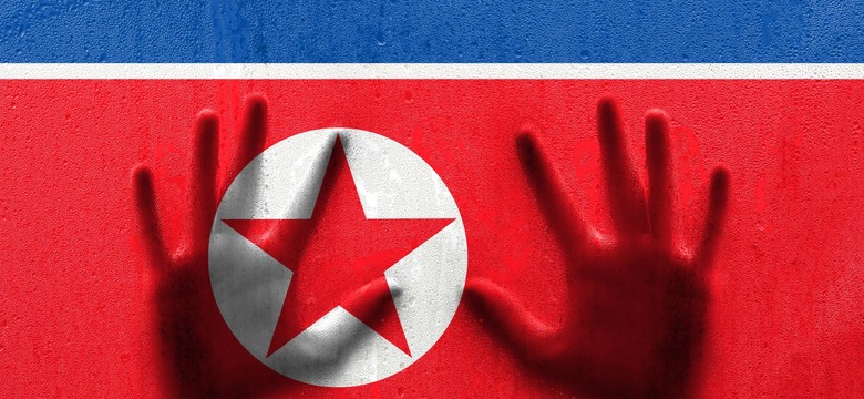 Agenci z Korei Południowej mieli gwałcić uciekinierkę z Północy. "Nie miała nikogo, kto mógłby jej pomóc"