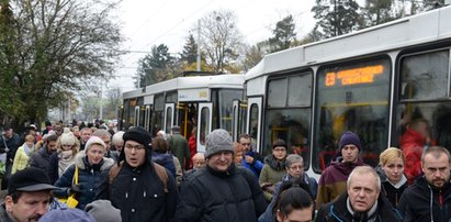 Wszystkich Świętych 2022. Czy sklepy będą otwarte 1 listopada?