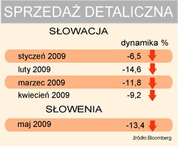Słowacy płaczą z powodu euro