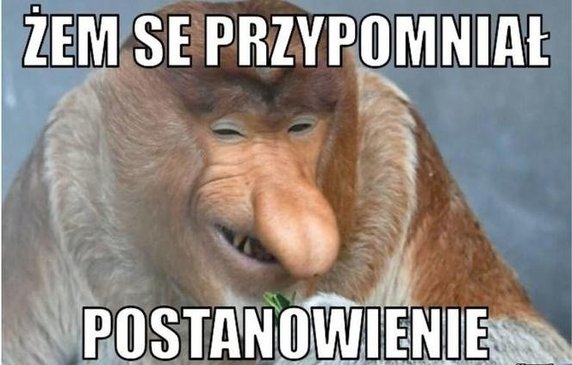 Przywitaj Nowy Rok z humorem — memy o Sylwestrze