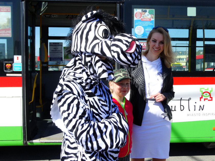 Zebra uczy zasad zachowania się w autobusie.