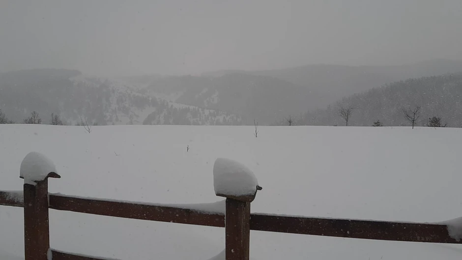 Pola metra snega palo je u martu