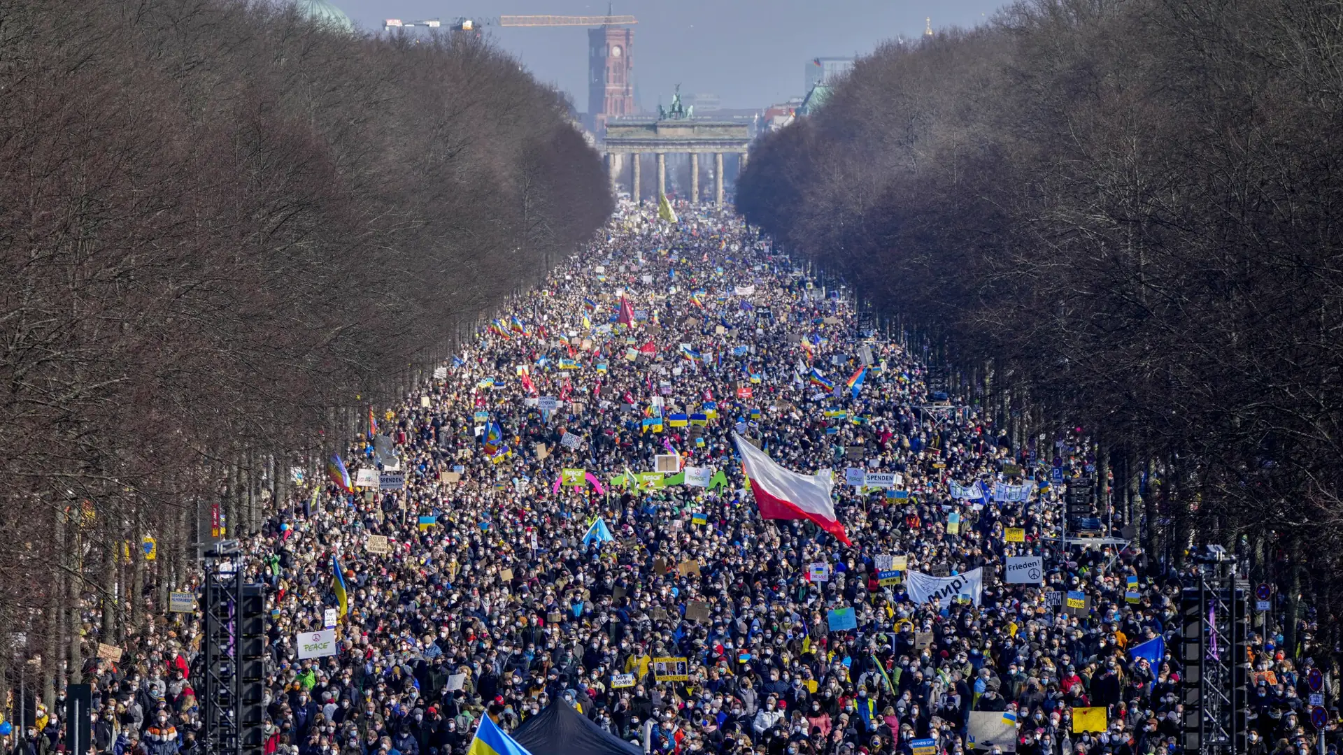 Świat solidaryzuje się z Ukrainą. Manifestacje od Nowego Jorku po Tokio 