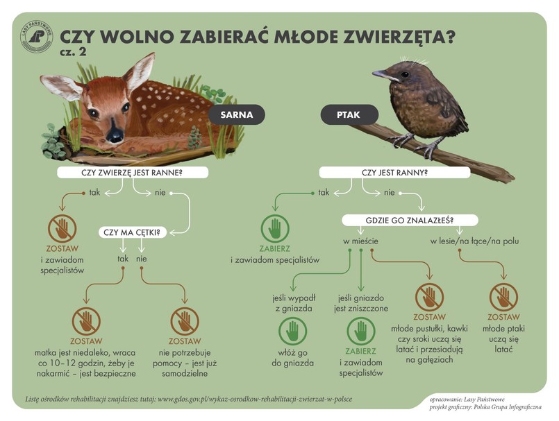 Czy wolno zabierać młode zwierzęta?