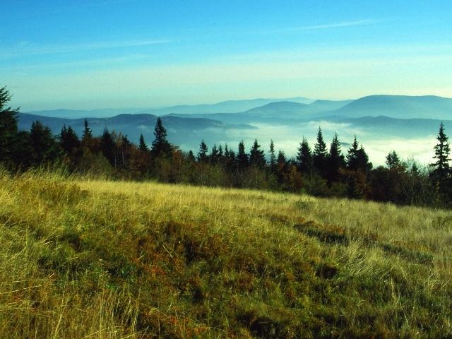 Galeria Najpiękniejsze góry Polski, obrazek 53