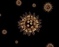hpv-cikkbe-d000002B8d75a6b7c09bd
