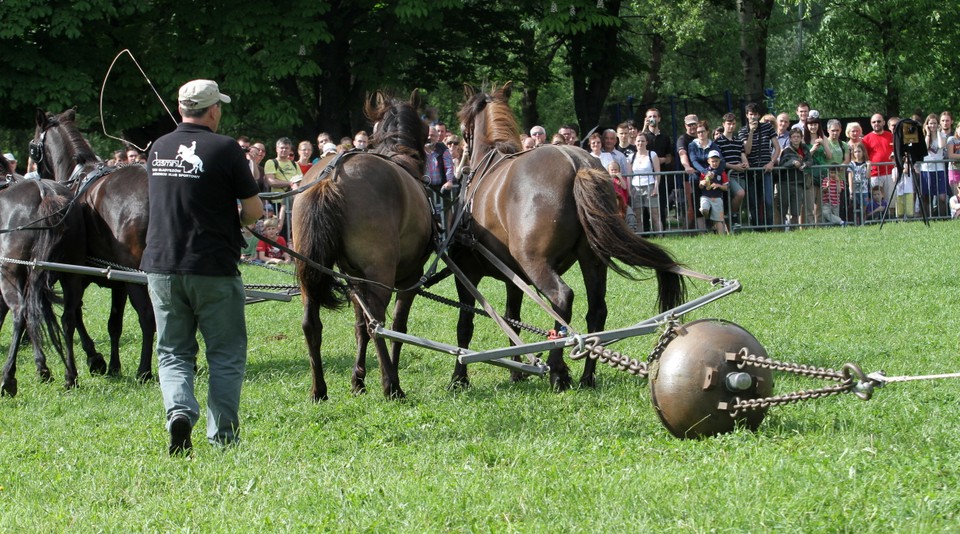 KRAKÓW FIZYKA DOŚWIADCZENIE EKSPERYMENT MAGDEBURSKI