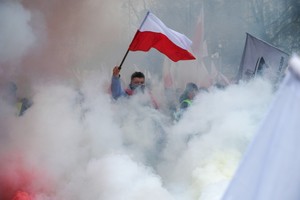 Fakty i mity o Zielonym Ładzie i rolnictwie w Polsce. Raport IFP