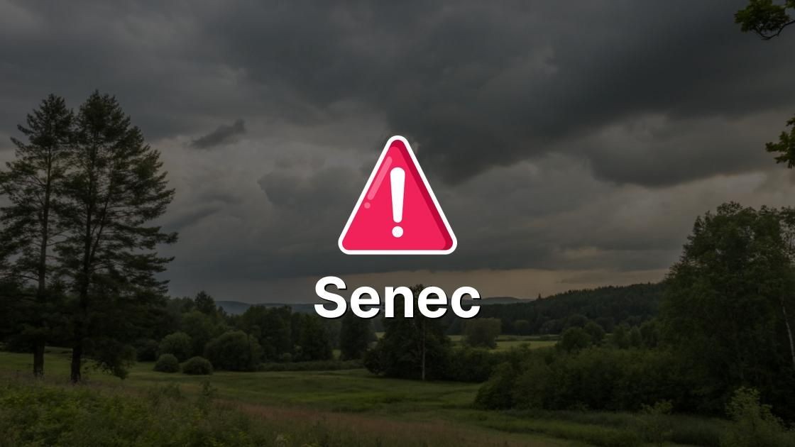 Senec