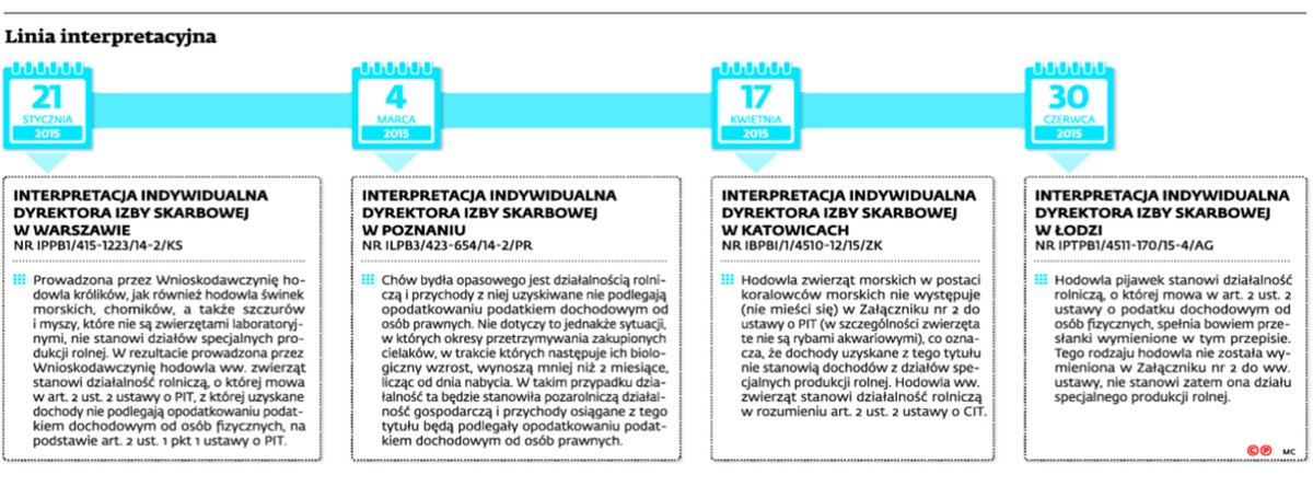 Linia interpretacyjna